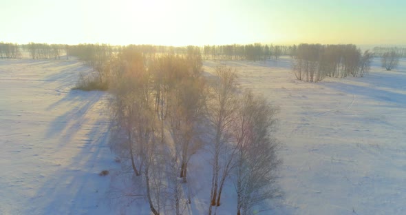 Aerial Drone View of Cold Winter Landscape with Arctic Field Trees Covered with Frost Snow and