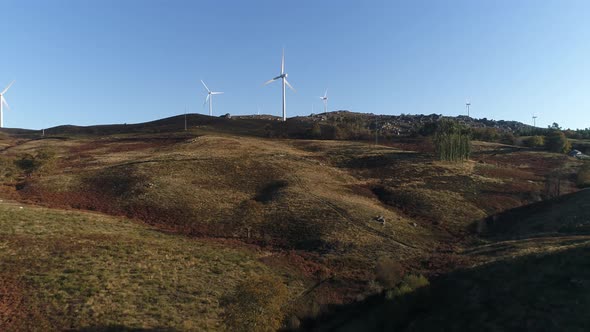 Wind Turbines, Renewable Energy on a Green Hill