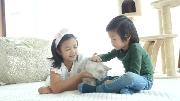 Cute Asian Childrenplaying American Shorthair Cats At Home 