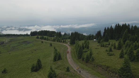 A group of young hikers hiking up beautiful mountain road in the amazing Carpathian Mountains, Ukrai