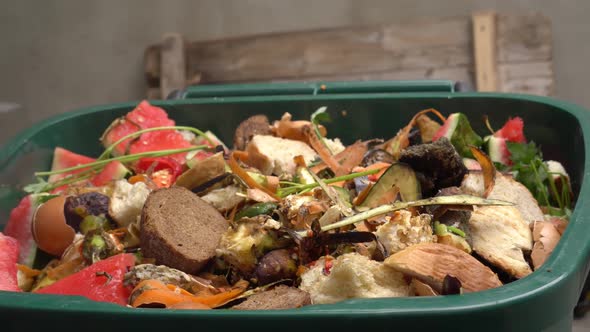 Organic Food Waste Recycling Composting