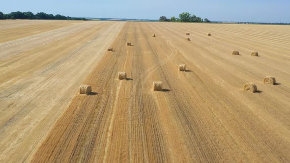 Round Hay Bales At The Field 9