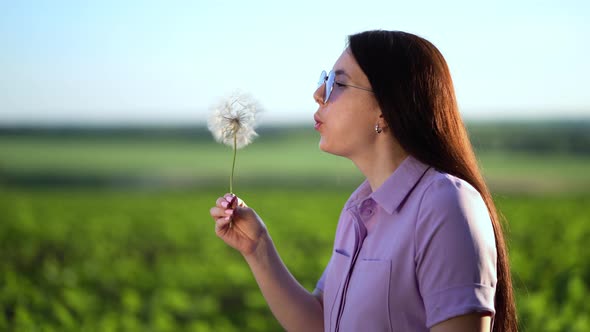 Portrait of a Beautiful Young Woman Blowing on Big Dandelion in the Sunny Day.