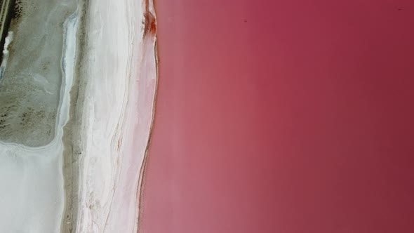 Flying Over a Pink Salt Lake