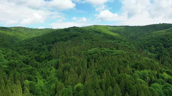 Aerial Video Drone Flying Over Carpathians Mountains Ukraine Europe