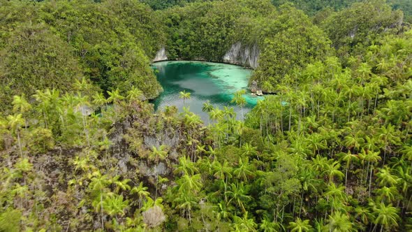 Triton Bay With Turquoise Sea And Green Tropical Trees In Kaimana Islands