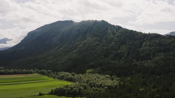 Mountain Covered with Dense Forest