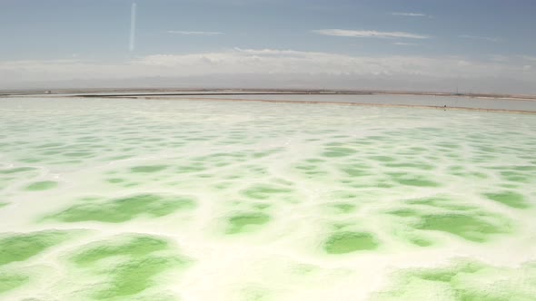 The green saline lake, natural lake background