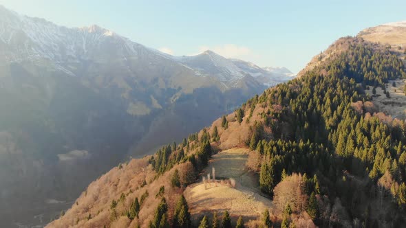 The Tree Cathedral and mountains aerial view