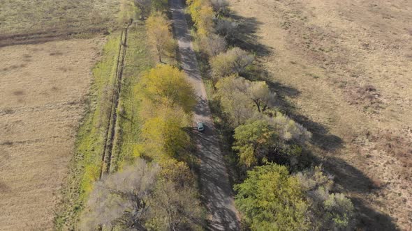 aerial following a grey car driving on a road with rows of trees on both sides