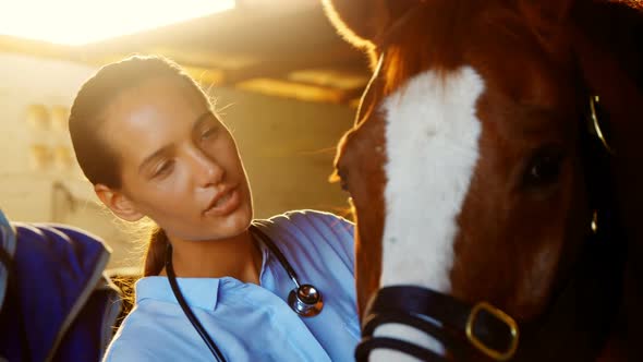 Veterinarian doctor checking a horse 4k