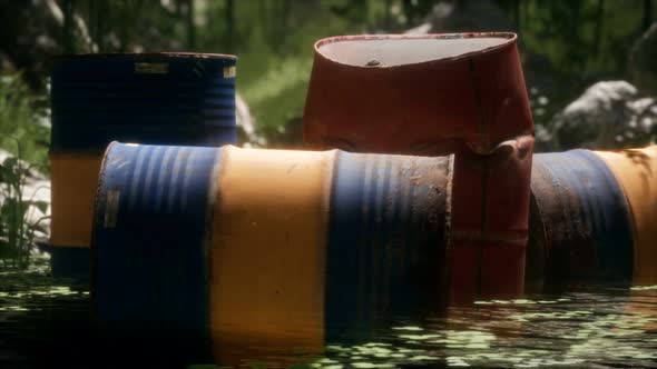 Rusty Barrels in Green Forest alt