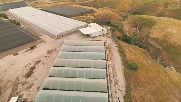 Aerial footage of large greenhouse farm in the Jordan vally in Israel