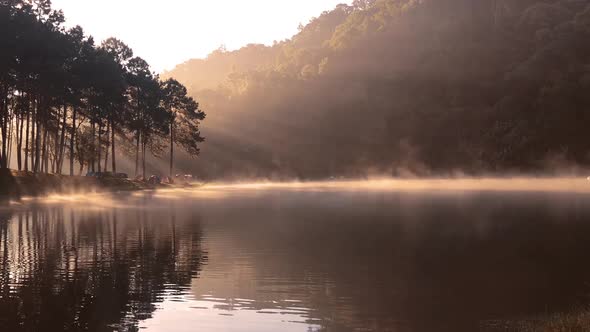 Beatiful nature lake and forest.