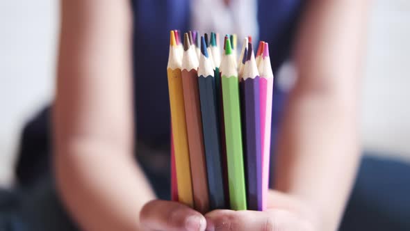 Child Hand Holding Many Color Pencils