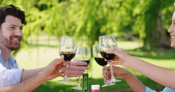 Couples toasting glasses of red wine in the park