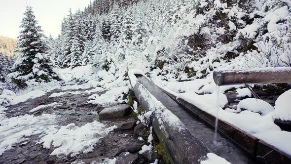 Water flowing from the source (spring) made from wood in mountainous forest in Carpathian mountains