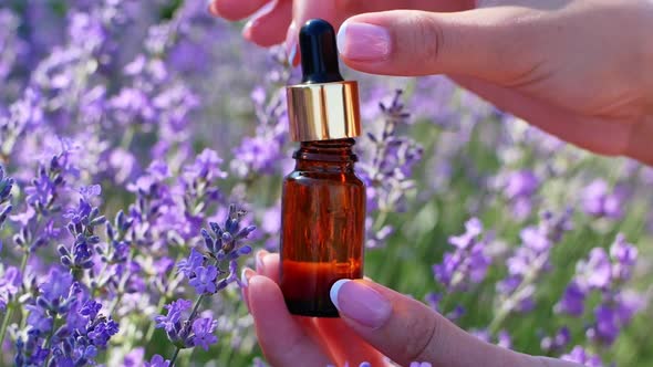 Lavender essential oil in beautiful bottle in a female hand against the background of lavender field