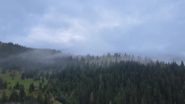 Fog in the Mountains. Aerial View of the Carpathian Mountains in Autumn. Ukraine