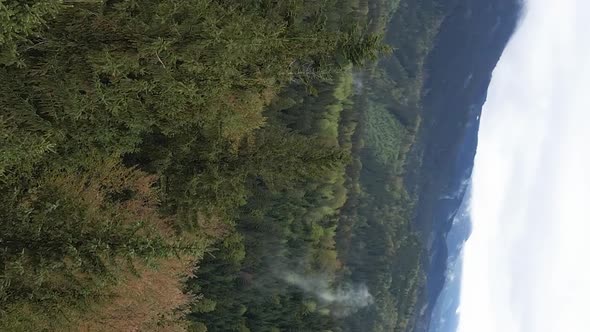 Vertical Video Carpathian Mountains