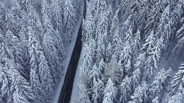 Flying Slow Over Snow Covered Forest Trees and Deserted Road in Winter