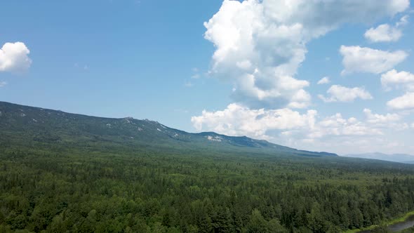 Green forest and mountain range