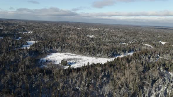 winter landscape aerial view forest in north shore minnesota
