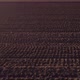 Slow shot with a drone from a plowed field to a green field at sunset - VideoHive Item for Sale