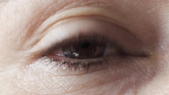 Female Brown Eye Close Up