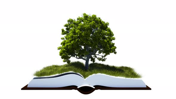 Open Book With Green Grass Field And Tree alt