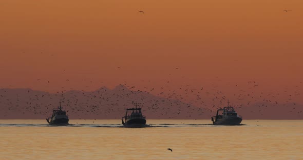 fishing boat coming back to the harbour at sunset, France