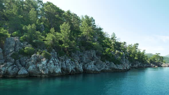 Rocky shore with a forest by the sea