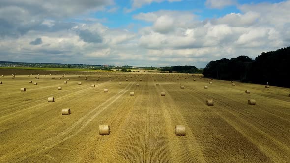 Straw Bales on Farmland