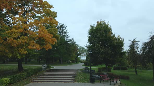 Flight over the autumn park in cloudy weather.