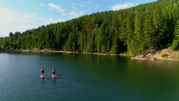 Couple rowing a stand up paddle board in the river 4k