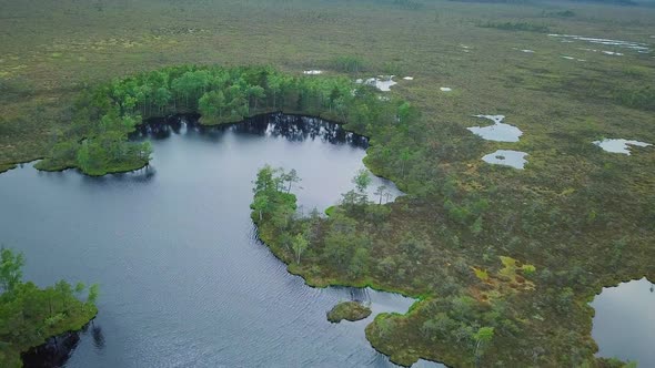 Beautiful aerial view of bog landscape with lakes on a sunny summer day, Dunika peat bog (Rucava, La