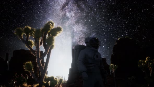 Astronaut and Star Milky Way Formation in Death Valley