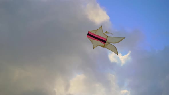 Slowmotion Shot of a Little Boy with a Kite Walking Through a Big Beautiful Rice Field