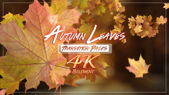 Autumn Leaves Transition alt