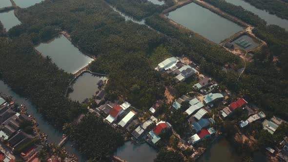 Aerial view of Bay Mau Coconut Forest in Hoi An - travel with the basket boat