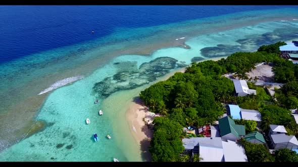 Aerial drone shot landscape of marine sea view beach wildlife by aqua blue ocean and white sandy bac