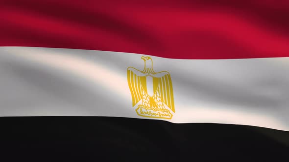 Egypt Windy Flag Background 4K