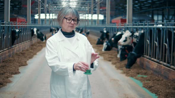 Female Worker is Smelling Fresh Milk in the Cowshed