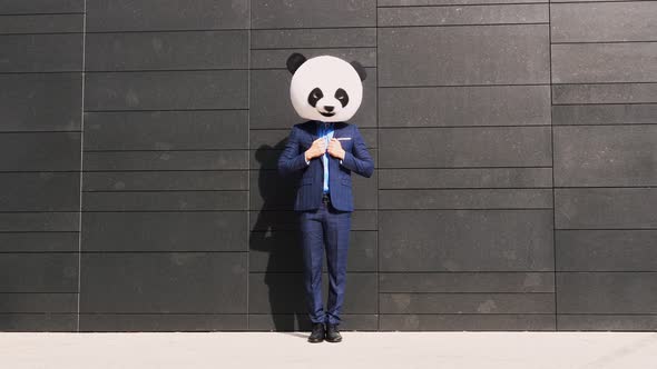 Businessman with panda head