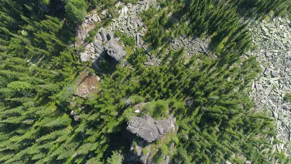 Top View on Rock and Forest