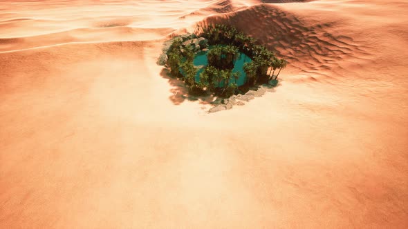 Top Down Aerial View of Oasis in Desert