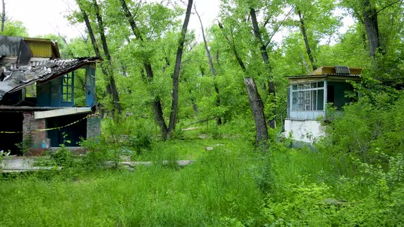 Destroyed houses in the forest