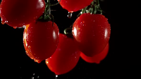 Cherry Tomatoes with Water Splash at a Dark Background