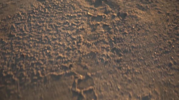 Tire Treads of the Wheel of a Bike on the Brown Sand Off Road