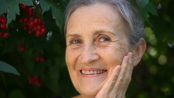 Beautiful Old Grandmother with Grey Hair and Face with Wrinkles is Looking at the Camera with Smile